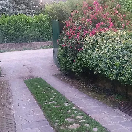 Bed & Breakfast Al Roncaccio 3*
