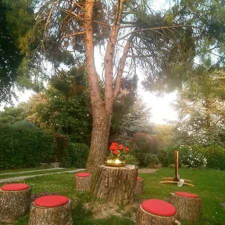 Al Roncaccio Bed & Breakfast *